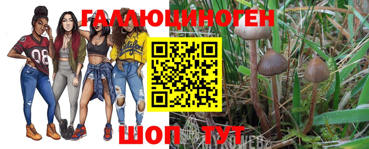Новотроицк  Галлюциногенные грибы GOLDEN TEACHER  Вход с VPN 